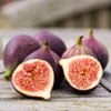 Italian Fig Balsamic Vinegar - Lot22oliveoilco.com