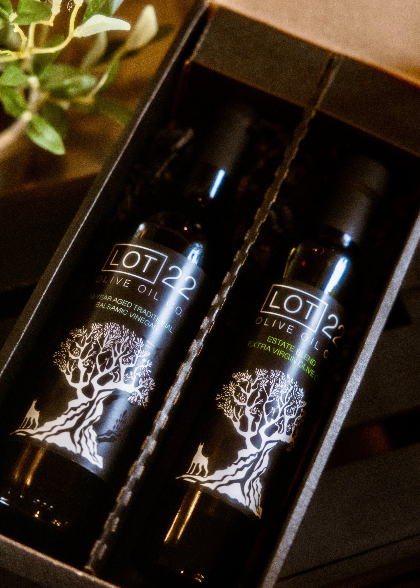 Premium Olive Oils: What Makes One Gift-Worthy and Delicious?