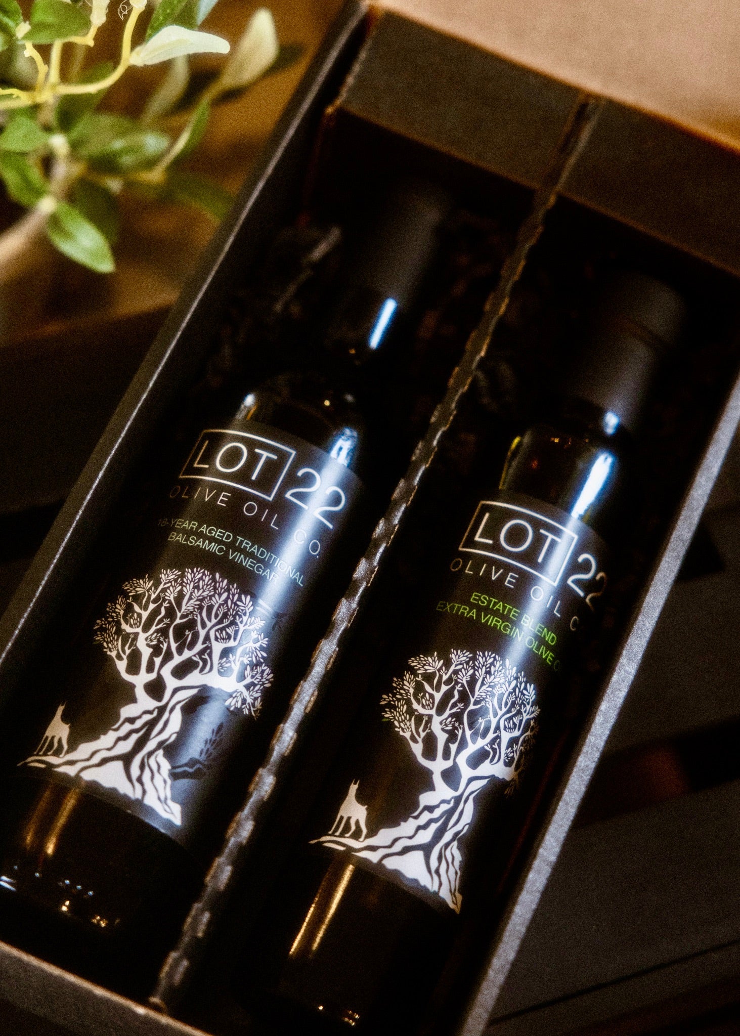 Cold-Pressed Olive Oil: Complete Guide to Quality, Health & Uses