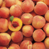 Peach White Balsamic Vinegar - Lot22oliveoilco.com