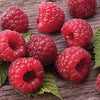 Italian Raspberry Balsamic Vinegar - Lot22oliveoilco.com